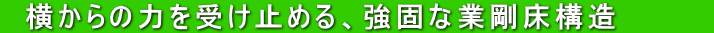 @̗͂󂯎~߂Ałȋƍ\@@@@